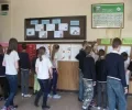 Zdjęcie z galerii